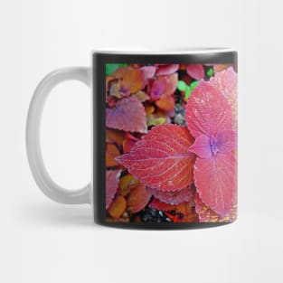 Estes Park 2020 Study 19 Mug